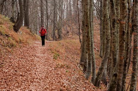 PALIS D'ARINT :- a spasso sulle nuvole