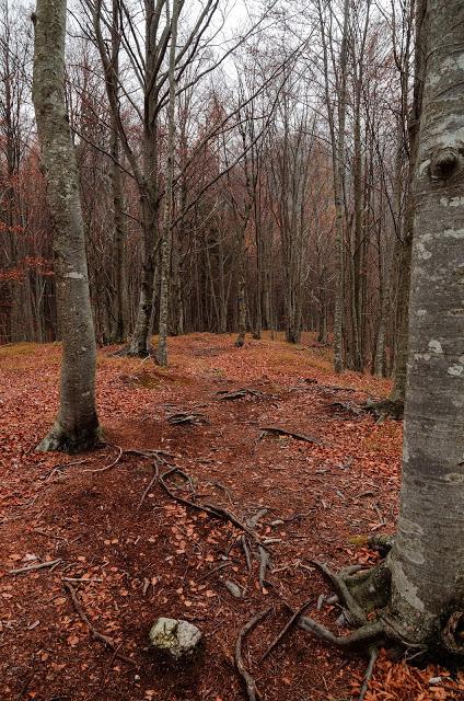 PALIS D'ARINT :- a spasso sulle nuvole