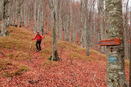 PALIS D'ARINT :- a spasso sulle nuvole