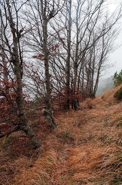 PALIS D'ARINT :- a spasso sulle nuvole