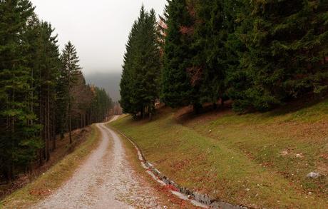 PALIS D'ARINT :- a spasso sulle nuvole