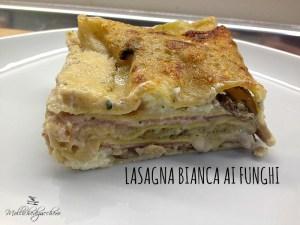 lasagna bianca ai funghi