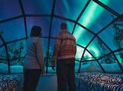 Trascorri vacanze natalizie Evolution Travel