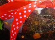 cucina indiana chutney datteri