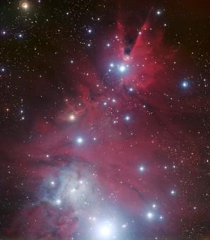L'oggetto celeste denominato NGC 2264, composto dall'ammasso stellare 'Albero di Natale' e dalla nebulosa Cono, visibile in alto nell'immagine. Crediti: ESO