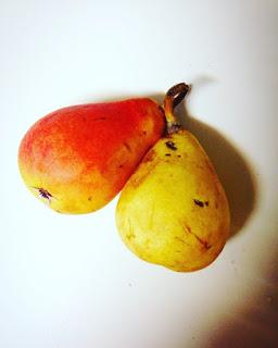 Crostatine alla frutta spalmabile di pere.. le più buone del mondo!- shabby&countrylife.blogspot.it