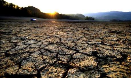 Clima-sara-piu-caldo-del-previsto-e-i-pollini-raddoppieranno_h_partb