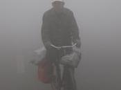 smog ingrigisce