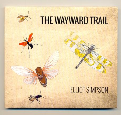 La chitarra resofonica nella musica contemporanea: The Wayward Trail di Elliot Simpson, Microfest Records, 2015