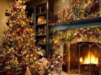 Le stelline di Natale