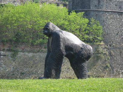 savona statua gorilla priamar