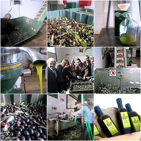 Diario di un autunno in Toscana con Caccia al Territorio: cosa fare e dove mangiare nella provincia di Arezzo