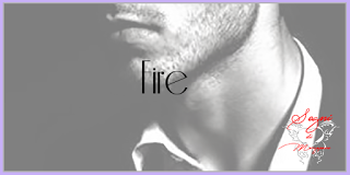 Recensione Fire di Jennifer Probst