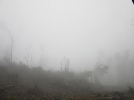 Mad Six Shooter- reprise