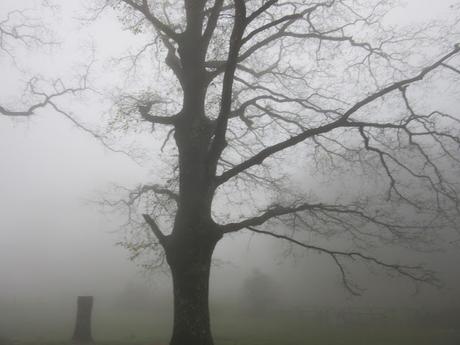 Mad Six Shooter- reprise