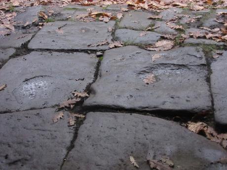 Mad Six Shooter- reprise