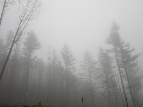 Mad Six Shooter- reprise