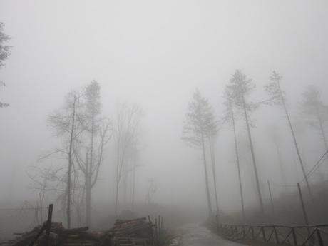 Mad Six Shooter- reprise