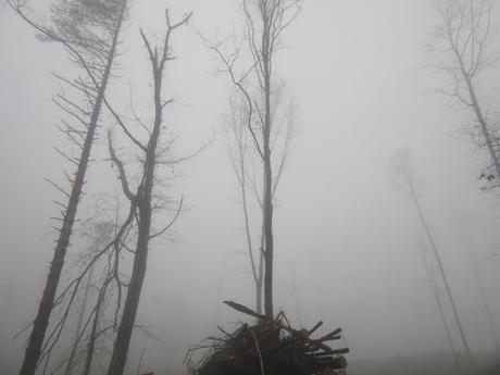 Mad Six Shooter- reprise