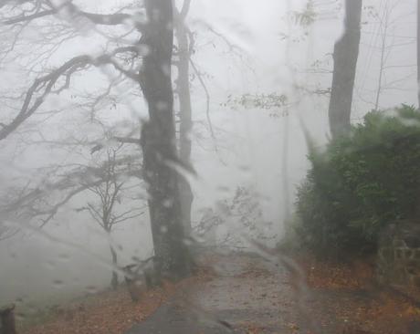 Mad Six Shooter- reprise