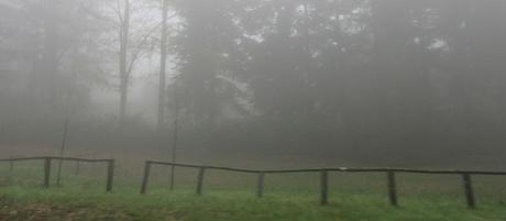 Mad Six Shooter- reprise