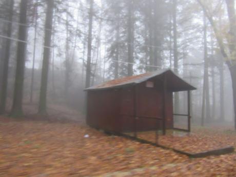 Mad Six Shooter- reprise