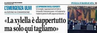 Il problema del consenso per affrontare il problema Xylella nel contesto del Salento leccese