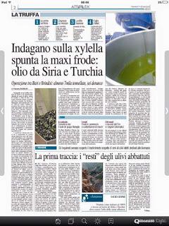 Xylella 4 dicembre 2015