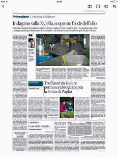 Xylella 4 dicembre 2015