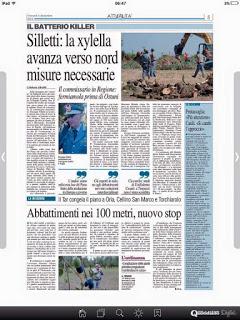 Xylella 4 dicembre 2015