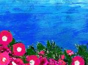 L'ipomea fiore parla