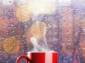 EDITORIALE Sevegliano-Palermo solo andata: Zampa scherza Sorrentino furbetto