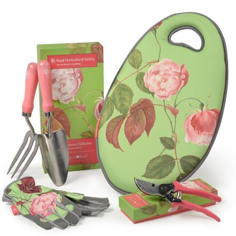 annotazioni creative #dicembre2015 rosa-chinensis-collection_B&B. jpg