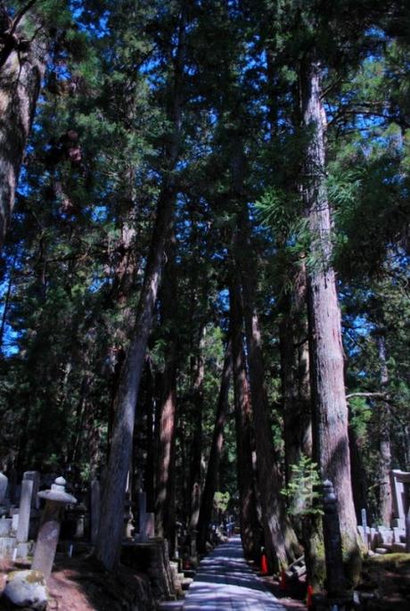 Il cimitero Oku-no-in sul monte Koya