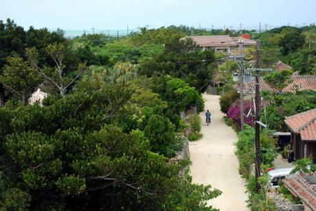 Taketomi dall'alto, un piccolo paradiso tropicale