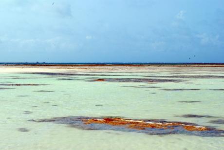 Kondoi Beach, Taketomi