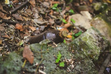 La foresta urbana di Lecce - alla scoperta del parco delle cave