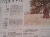 effetti clima Dall'ulivo vigneti nuova frontiera sempre Nord