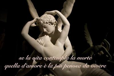 Vivere