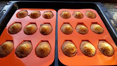 Madeleines alla rosa