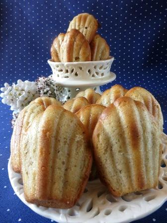 Madeleines alla rosa