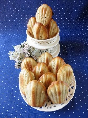 Madeleines alla rosa