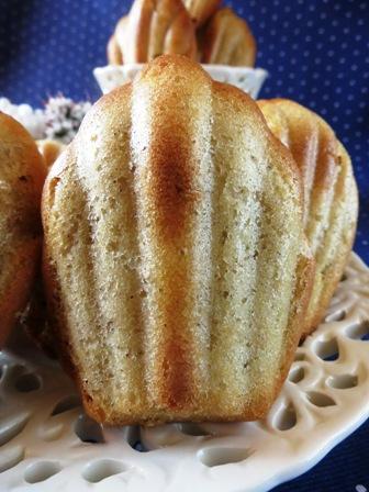 Madeleines alla rosa