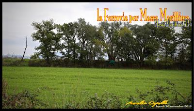 la ferrovia per Massa Marittima