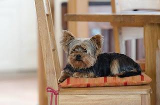 Blog tour a causa tua