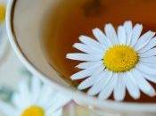 Curare stress erbe medicinali