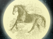 Books Babies [Recensione]: Ascolta luna Michael Malpurgo