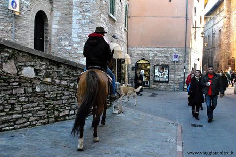 cosa vedere e visitare ad assisi 