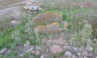 L’AREA ARCHEOLOGICA DI SAN CROMAZIO - VILLA SPECIOSA