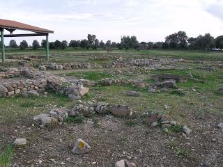 L’AREA ARCHEOLOGICA DI SAN CROMAZIO - VILLA SPECIOSA